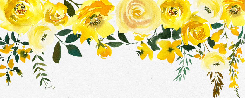 Then She Was Gone – Lisa&nbsp;Jewell